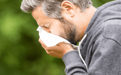 Combat Seasonal Allergies Naturally With  Chiropractic Care